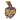 Kolkata Knight Riders