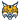 Quinnipiac Bobcats (W)