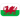 Wales U19