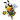 Hokkoku Honey Bee (W)