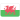 Wales U20