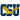 Coppin State Eagles (N)