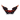 Dragon Esports