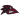 Franklin Pierce Ravens