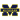 Michigan Wolverines (N)