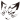 TEAM XDM