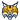 Quinnipiac Bobcats (W)