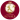 Amaravati Royals