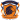 Maharashtra Oranje 