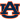 Auburn Tigers (W)