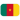 Cameroon U17