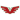 Verdirrojo BBC