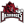 Arkansas Razorbacks (F)