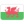 Wales U20