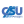 CSU Pitesti