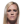 Holm Holly