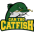 Can Tho Catfish