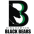 Бингхэмтон Блэк Бирс