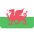 Wales U19