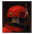 Bebop