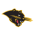 Ohio Dominican Panthers