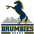 Brumbies