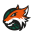 Plymouth Raiders