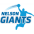 Nelson Giants