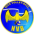 Nice Volley-Ball
