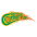 Sydney City Comets