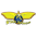 Starwings Basquete