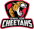 Gwalior Cheetahs