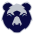 Bristol Bears