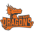 Da Nang Dragons