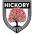 Hickory FC
