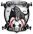 Ipswich City FC (W)