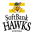 Fukuoka Softbank Hawks