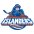 Bridgeport Islanders