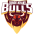 Bundelkhand Bulls