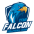 Taoyuan Falcon