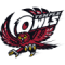 Temple Owls