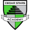 Cedar Stars