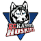 Kassel Huskies