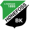 Hoenefoss