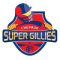 Chepauk Super Gillies