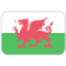 Wales SRL