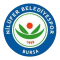 Nilufer Belediye FK