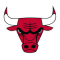 Chicago Bulls