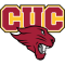 Concordia Chicago Cougars