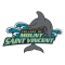 Mount Saint Vincent Dolphins